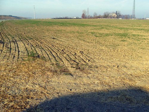Property photo 3 - 60 Acres Offered in 2 Tracts